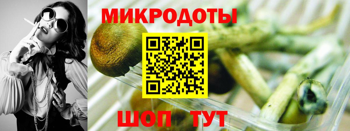 Псилоцибиновые грибы Magic Shrooms  Вход с VPN  Янаул 